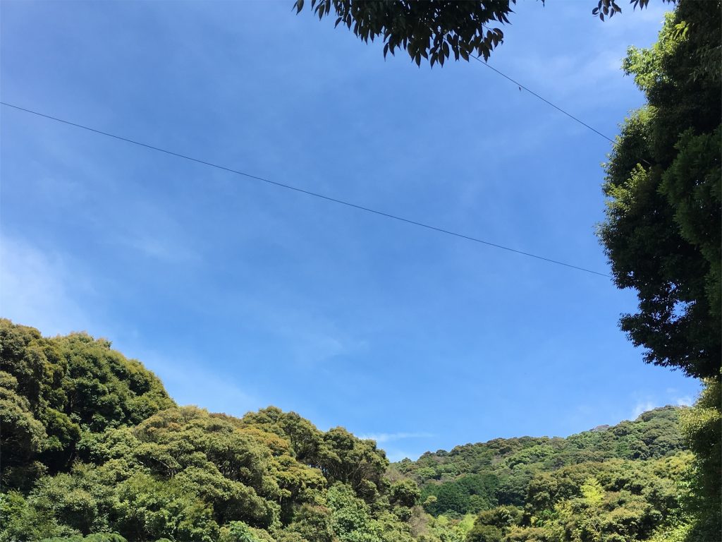 窯出し当日。抜けるような青空