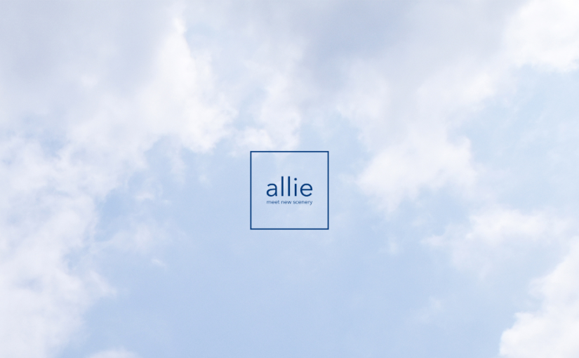 株式会社アリー - allie Co., Ltd.