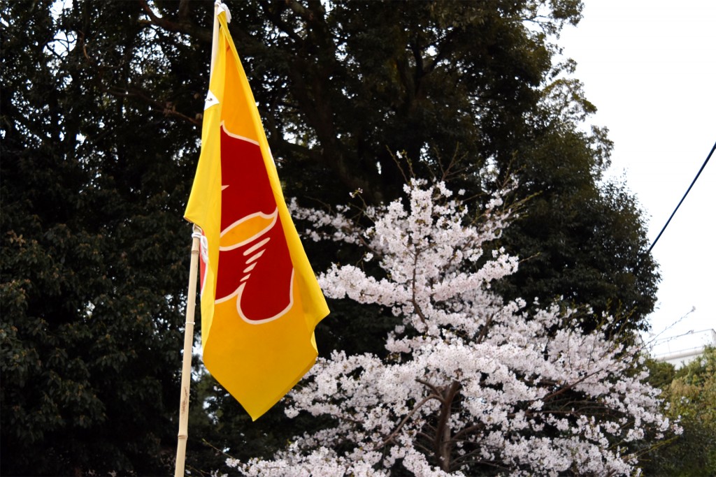広沢町ひ組の旗と桜